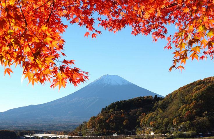 【早割30】[横浜発]秋色やまなし冒険体験紀行♪「河口湖もみじ回廊」散策＆「シャインマスカット狩り食べ放題×桔梗信玄餅詰め放題」ダブル大人気イベント！スイス＆甲州郷土料理ビュッフェ＆お買い物★2