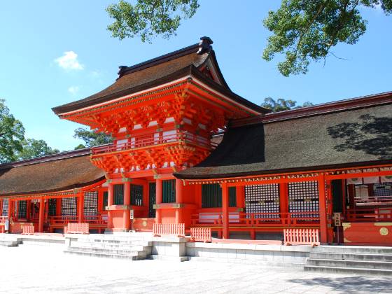 【バスハイク／博多発着／添乗員同行】 年始め！パワースポットで早春開運三社巡り！ 宇佐神宮・金運アップのパワースポット富来神社・神秘の薦神社 ～めで鯛♪老舗料理屋「若栄屋」で”鯛茶漬うれしの”のご昼食～1