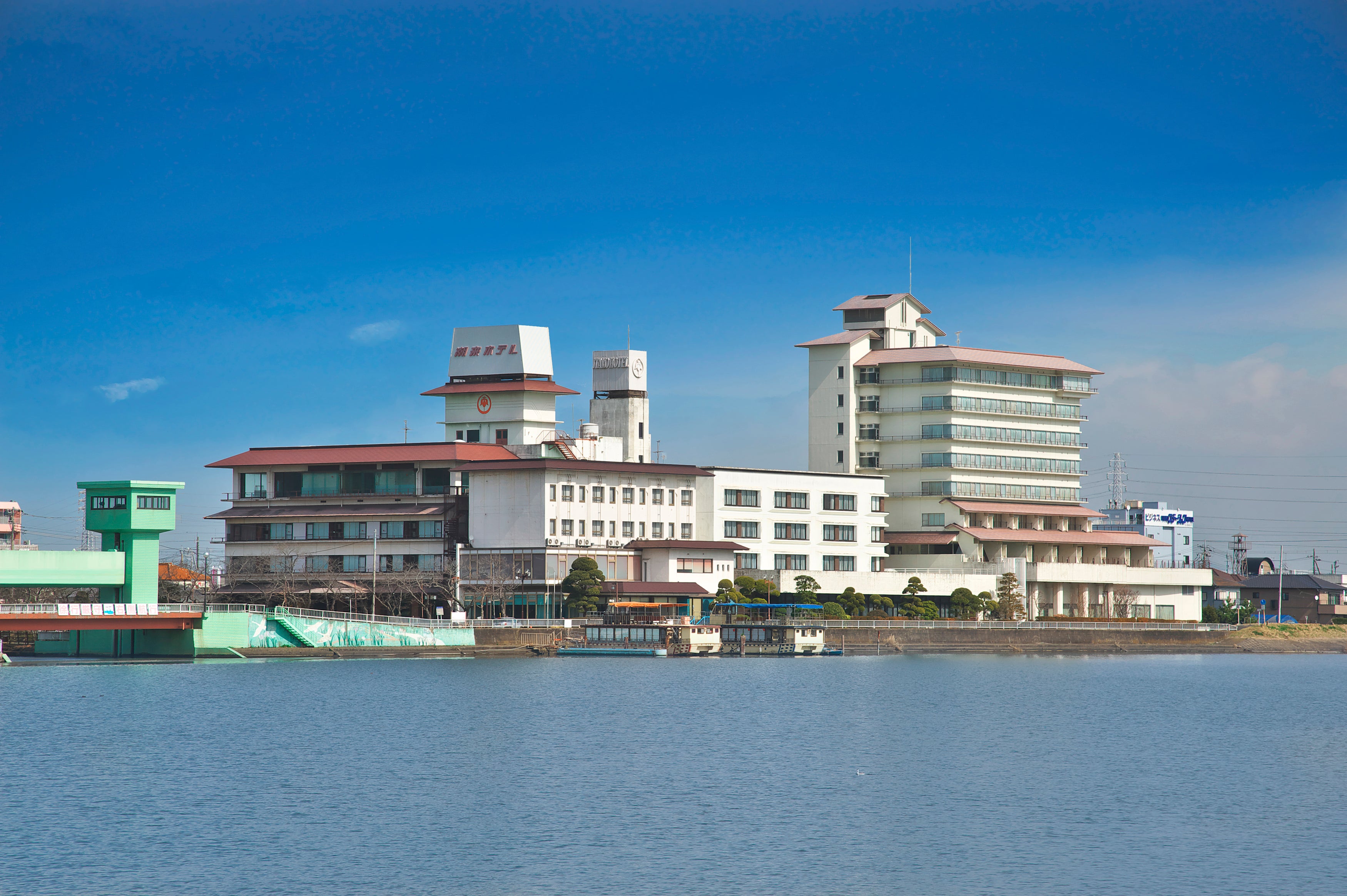 【福井県内発】 往復グリーン車で行く国営ひたち海浜公園のネモフィラとあしかがフラワーパークの大藤・つつじ2日間3