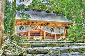 姫路・加古川　発
鈴鹿の森庭園 日本の伝統園芸文化しだれ梅と椿大神社2