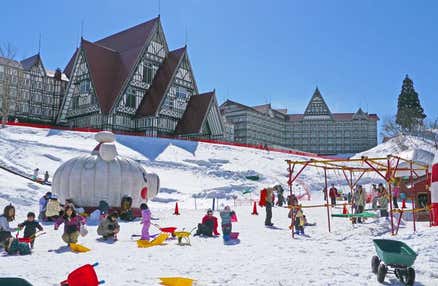 [東京/新宿発]【往復バスで行く】夜発 上越国際スキー場日帰り