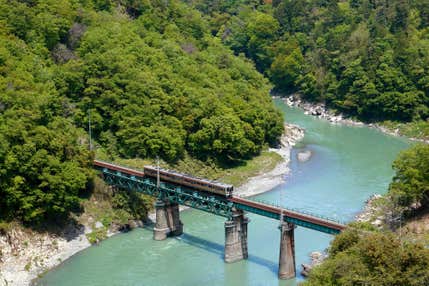『シャインマスカット1房・ナガノパープル1房の合計2房お持ち帰り!長野県産・特選A5「信州プレミアム牛」の昼食と松茸ご飯食べ放題』【岐阜・那加出発】