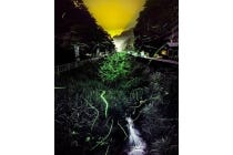 １名参加ＯＫ！トイレ付きバスで行く【名古屋駅発】＊１泊４食付＊季節を満喫　２５名限定ツアー『さくらんぼ狩りとホタル観賞　下部温泉』