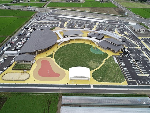 ■＜開花予想発表！＞【茨城】心奪われる絶景！約530万本の「ネモフィラ」国営ひたち海浜公園＆絶品！黒毛和牛「俵ハンバーグ」ランチ＆北関東最大級！道の駅でお買い物！3