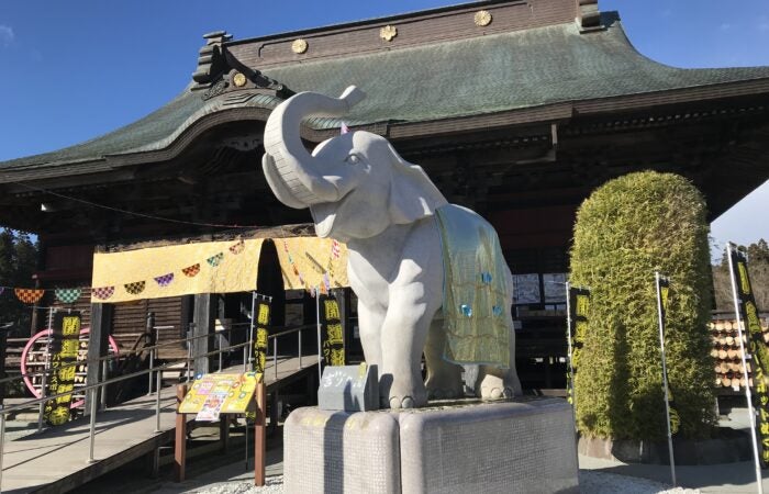 ★９/８ 催行決定★【横浜発】大安・寅の日限定！房総金運開運参拝ツアー！！バスで楽々一気にめぐる旅～日本三大金運神社の”安房神社”、撫で蛇様の”白子神社”、金運増大の”長福寿寺”～3