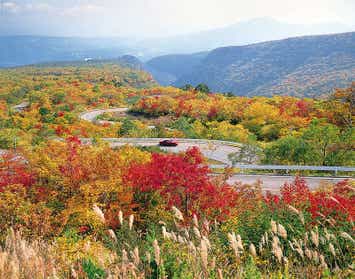 【小山駅・宇都宮駅・那須塩原駅発】蔵王ロープウェイ紅葉空中散歩と蔵王エコーライン絶景ドライブ