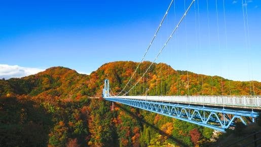 ＜Web割対象商品＞【キングツアーバス旅】茨城紅葉スポットめぐり♪紅葉の名瀑 袋田の滝と大パノラマ 竜神大吊橋〔調布発〕2