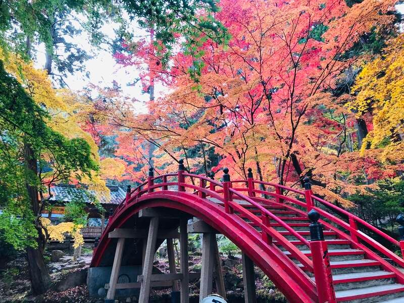 【出雲・斐川・松江・米子発】八天堂スイーツブッフェ付ランチ＆ 紅葉の佛通寺・今高野山・三景園　日帰り　3