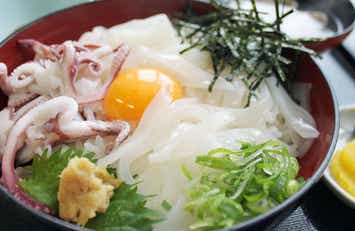 【大阪市内エリア発】 丹後の旬を満喫！贅沢地いか丼と日本三景「天橋立」・元伊勢 籠神社　日帰り1