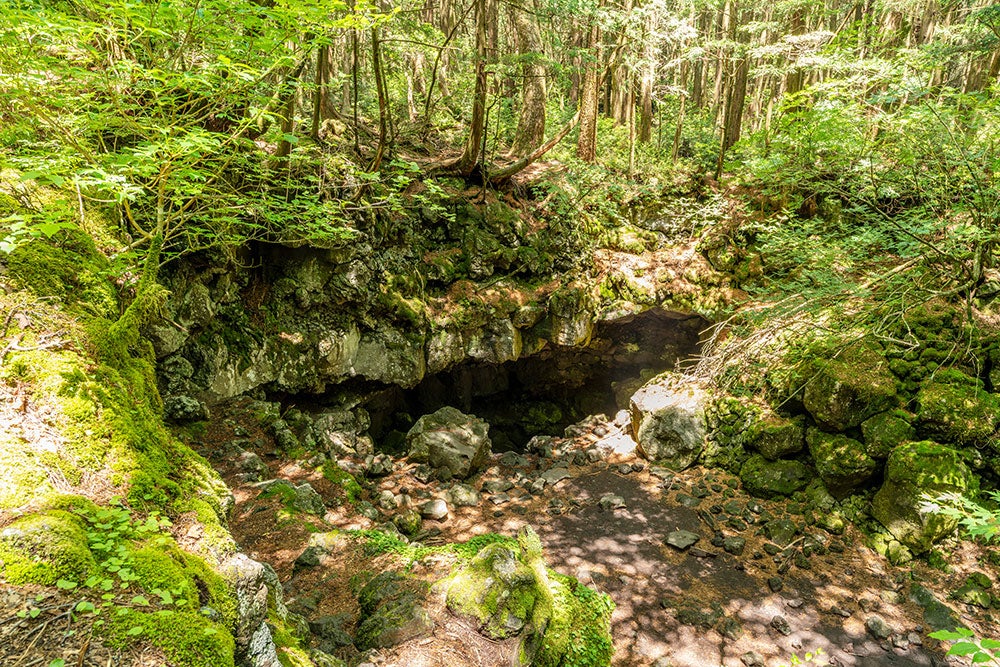 青木ヶ原樹海「富士風穴」バスツアー2