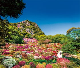 御船山楽園花まつりと13年連続日本一の絶景イルミネーションハウステンボス1