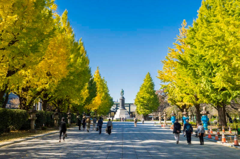 【茨城県内発】 約60種の美食ビュッフェランチと東京屈指の紅葉3名所巡り！ 神聖なる杜のイチョウから伝統ある大名庭園のモミジまで、 秋の芸術を心ゆくまで巡る贅沢ツアー 日帰り2
