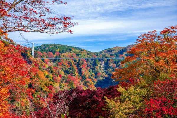 【大分・かんたん・北浜・別府発】 高原リゾートホテルで味わう和懐石と絶景パノラマ九重夢大吊橋　秋色に染まる九重連山絶景ドライブ　日帰り1