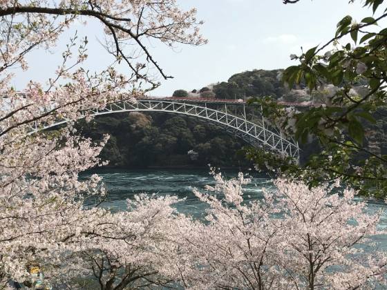 【日帰り／添乗員同行／博多駅発着】 2026.4月発 ＜22名様限定募集＞ 人気観光列車ふたつ星4047と豪華列車36ぷらす3 くつろぎの日帰り列車旅3