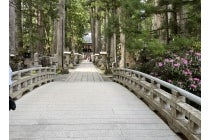 ★相部屋でのお申込　【名古屋駅発】＊１泊４食付き＊～ＷＥＢ予約限定～『高野三山・女人道トレッキングと旧正御影供・御逮夜法会（きゅうしょうみえくおたいやほうえ）』1