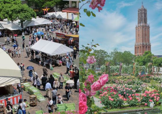 【バスハイク／添乗員同行／(福岡)博多発】 GWとっておき旅♪ 波佐見陶器まつりとハウステンボス 日帰りバスツアー1