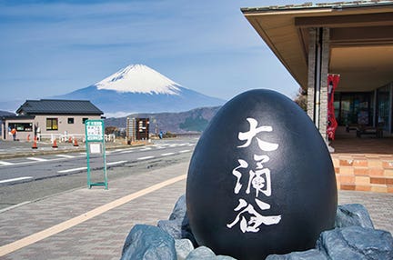 横浜発 開運祈願!九頭龍神社本宮・箱根元宮・箱根神社 箱根三社参り 日帰り 箱根の人気スポット・大涌谷もご案内!