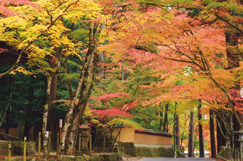 【愛媛県内発】 八天堂カフェリエdeパン・スイーツブッフェ付ランチと紅葉の佛通寺・三景園　日帰り3