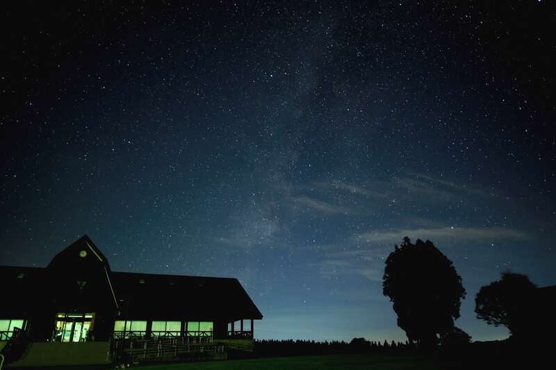 【福井県内発】 星空ロマン「大野市南六呂師星空保護区」星空観望と「かつやま恐竜の森」化石発掘に挑戦！　日帰り1