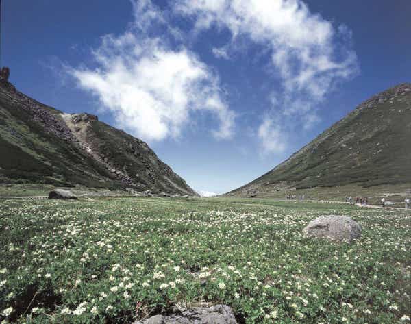夏の大絶景ゴールデンルートと露天風呂の奥飛騨温泉郷【藤井寺・五位堂・大和八木・橿原神宮発】1