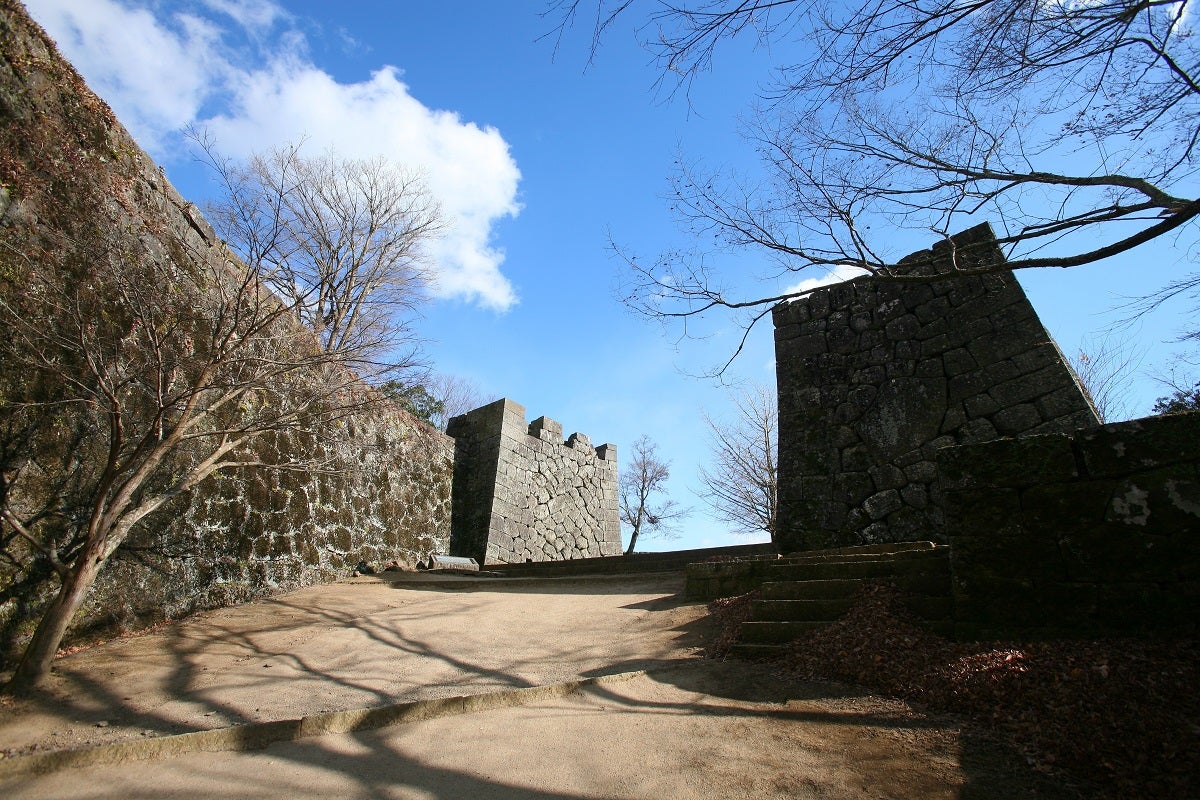 【岡山駅・福山駅・広島駅発】 《日本100名城めぐり》九州編 その２ ～大分・熊本・宮崎・鹿児島～2