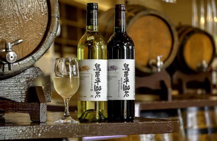 【早割30】[横浜発]充実満点！食べ尽くし★初夏の真っ赤な宝石！さくらんぼ狩り食べ放題＆王道！海鮮浜焼き食べ放題で初夏の山梨大満喫＆お買い物まで♪3