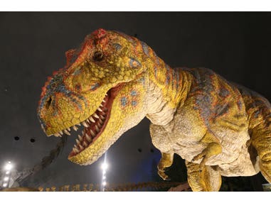 【名古屋発】リニューアルした日本一の恐竜博物館とドキドキ！わくわく！化石発掘体験