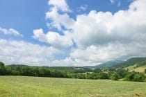 【岐阜・うずら・羽島発】＊日帰り軽食弁当付＊Ｌｅｔ’ｓハイキング！『牧歌風景広がる六呂師高原（ろくろしこうげん）を歩こう』1