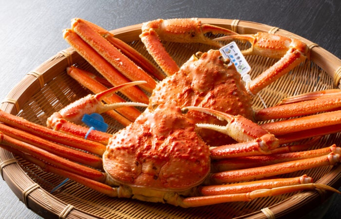 【梅田発】　城崎温泉とカニ昼食 冬の風情ある城崎温泉を散策♪～『贅沢かに1.5杯分』昼食付～ツアー2