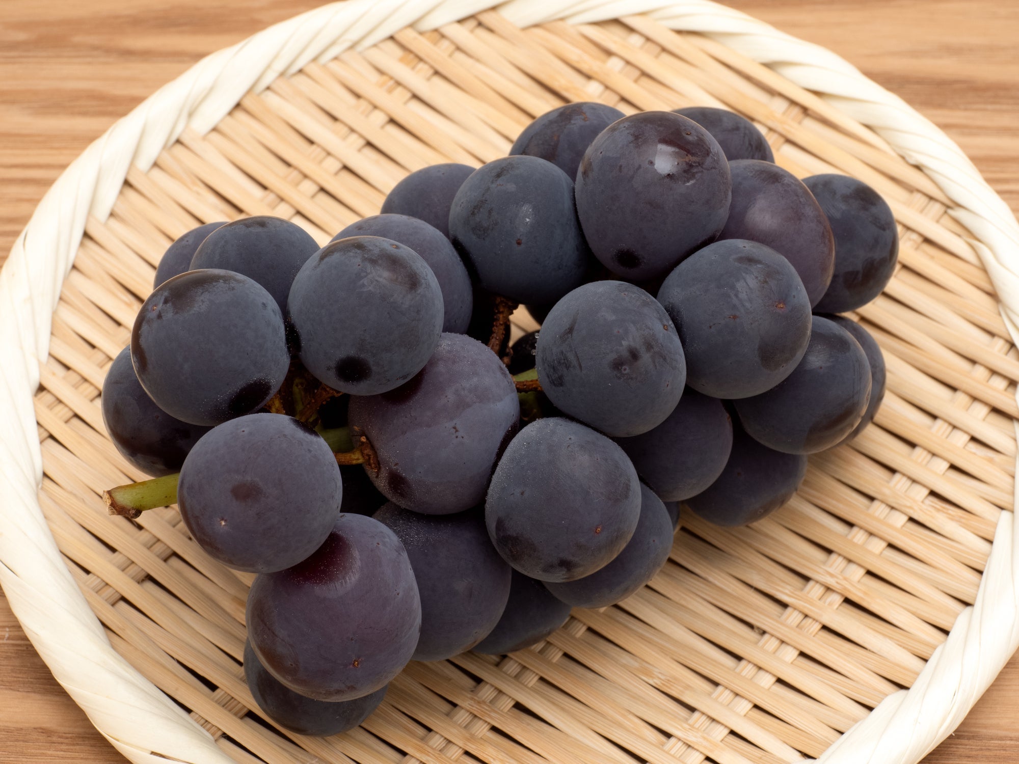 ＜ひとり旅＞『～奥信濃・奥越後・奥会津～ 個人では行きづらい秘境の桜名所へ まだ見ぬ桜と秘境ローカル線「只見線」全線突破 3日間』1