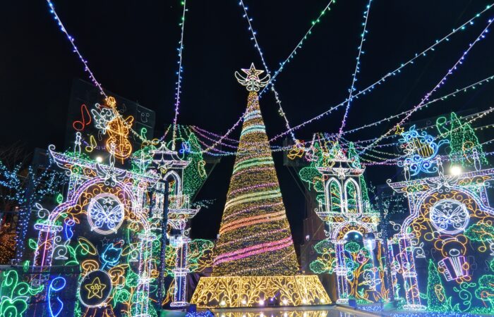 【横浜発】さがみ湖イルミネーション 話題の『さがみ湖MORIMORI』イルミネーションへ！～シャトー勝沼ワインテイスティング×甲州食材ランチプレート付～2