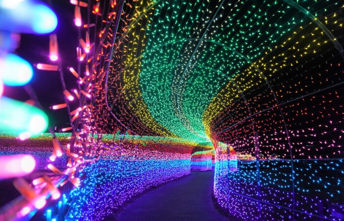 ★12/22　1/16　2/2 催行決定★【横浜発】東京ドイツ村イルミ＆保田小学校 光の絶景☆『東京ドイツ村』イルミネーション満喫！～洲崎神社参拝＆道の駅保田小学校＆豪華刺身舟盛・漁師のバイキング付♪～1