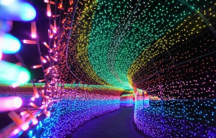 ★12/15 12/22 1/16 催行決定★【横浜発】東京ドイツ村イルミ&保田小学校 光の絶景☆『東京ドイツ村』イルミネーション満喫!~洲崎神社参拝&道の駅保田小学校&豪華刺身舟盛・漁師のバイキング付♪~