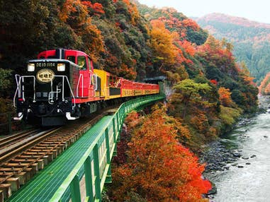 【名古屋発】予約困難!秋の嵯峨野トロッコ列車&嵐山・宇治さんぽ&京のごちそうビュッフェ