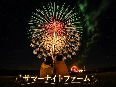 ■【千葉】イチオシ!マザー牧場「サマーナイトファーム」の大迫力花火&ブルーベリー狩り食べ放題&三井アウトレットパーク木更津へ行こう!