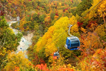 【JR千葉・京成津田沼発】紅葉絶景の清津峡&苗場ドラゴンドラ 苗場プリンスホテルに泊まる1泊2日<コースNo.26-1121-B>(京成トラベル)