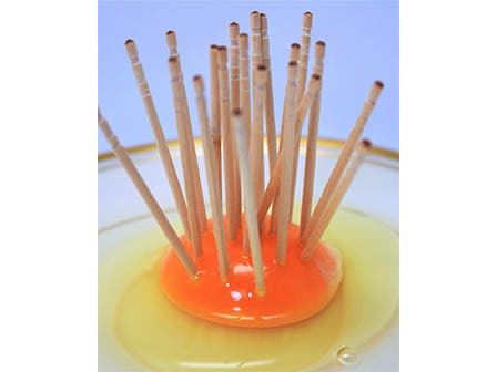 中部発 日帰り ご飯のお供は何にしよう?出〇・つ〇〇煮・〇太〇!米(マイ)ベストお供ミステリー!3