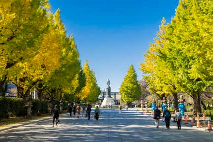 【茨城県内発】 紅葉に染まる大名庭園「六義園」と靖国神社イチョウ並木♪個人では入館できない『国会議事堂』ランチと『法務省旧本館』見学