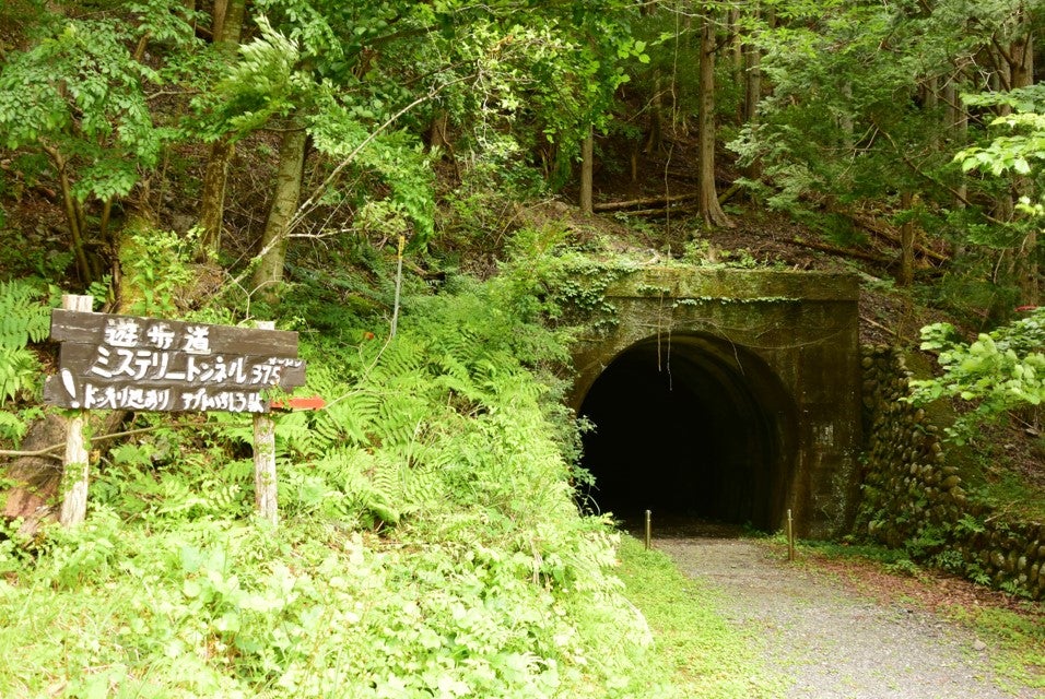7～9月【SST036】静岡駅発着！大井川鐵道名物広報と行く　夏の長島ダム見学とミステリートンネル歩き1