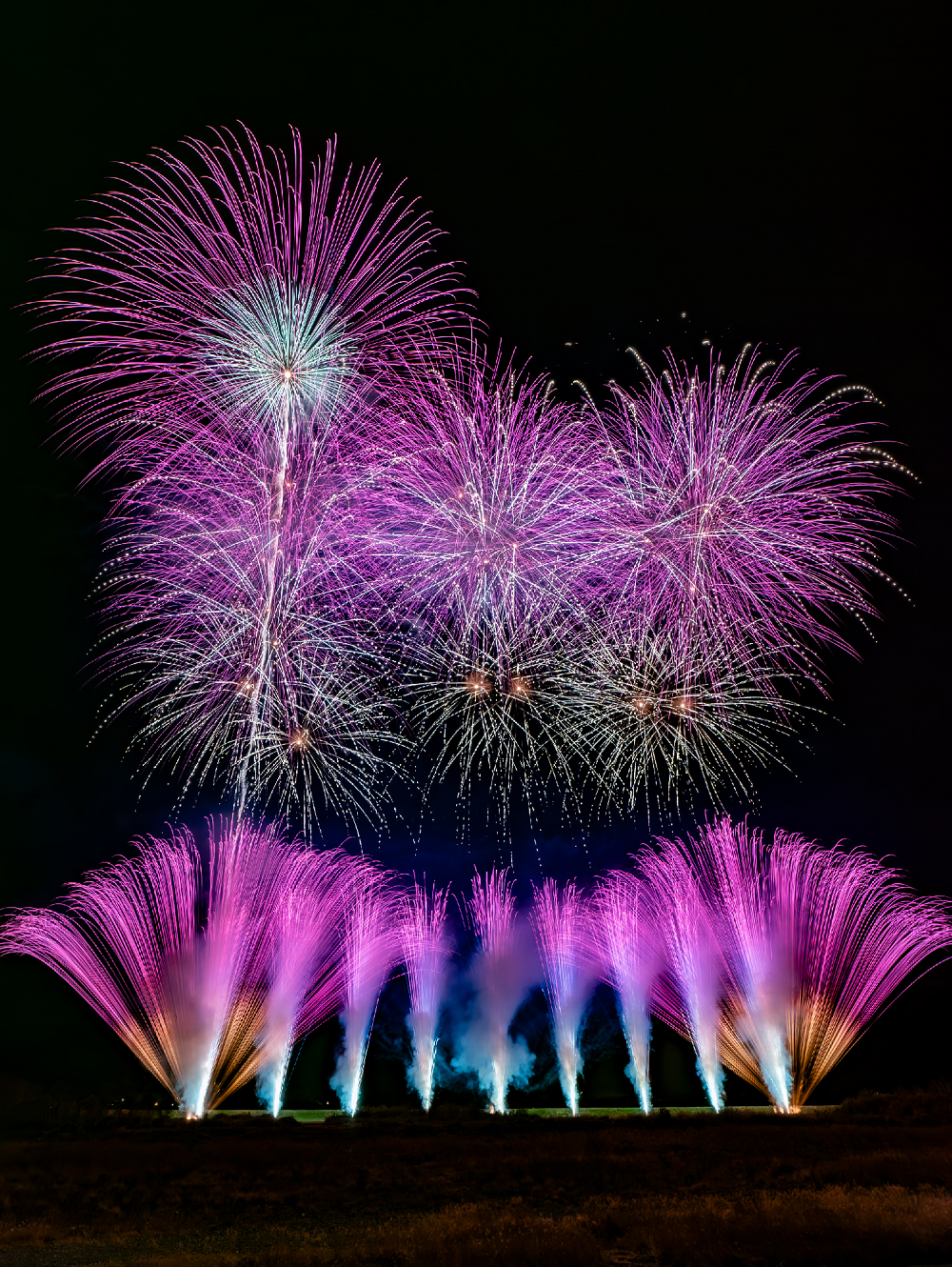 一夜限りの夜桜花火ツアー in 常陸大宮　Ｂコース（BARBUS利用/木内酒造お酒４種飲み放題！！）2