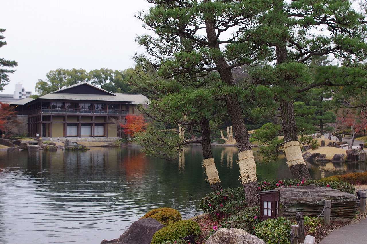 近鉄特急アーバンライナー＆ひのとりで行く！名古屋城本丸御殿・金シャチ横丁・徳川園・熱田神宮初詣【大阪難波・大阪上本町・鶴橋・大和八木発】3