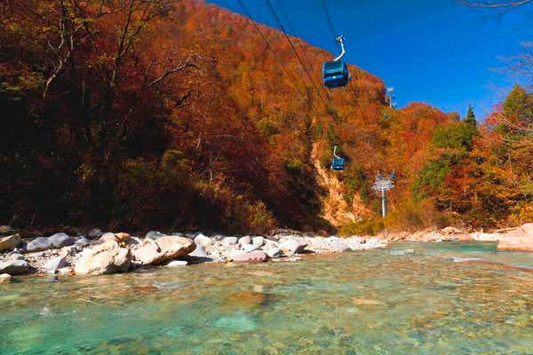 【群馬県内発】 新潟の秋は、美しい。紅葉の絶景空中散歩♪日本最長！苗場ドラゴンドラ＆瞬間地上高日本一！田代ロープウェーと苗場プリンスホテルでランチ　日帰り2