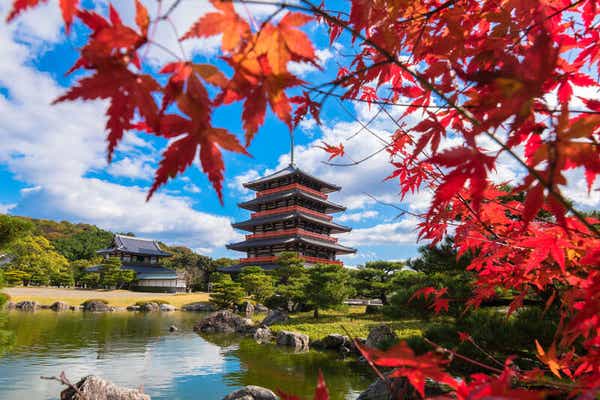 【大分・かんたん・北浜・別府発】 八千代座で見る山鹿灯籠踊り特別公演と誕生寺奥の院紅葉めぐり　日帰り2