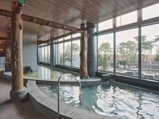 《東京ディズニーランド(R)1デーパスポート付き！（1日目利用）》JALで行く東京ディズニーリゾート(R)への旅　源泉かけ流し天然温泉が魅力♪ SPA&HOTEL舞浜ユーラシア指定　1泊2日3