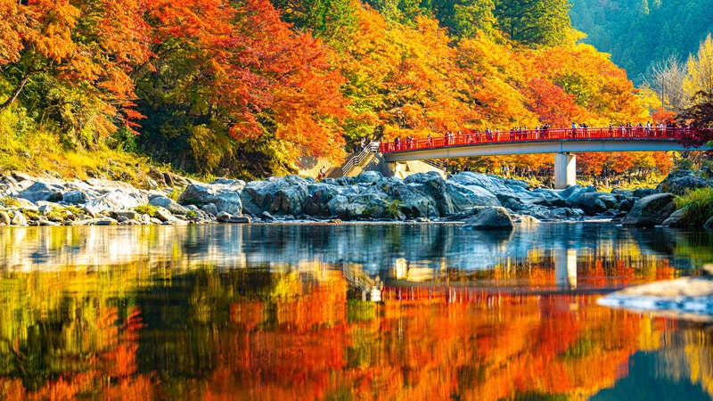 【茨城県内発】 紅葉の伊勢神宮外宮・内宮両参りと香嵐渓となばなの里そして国宝・犬山城　３日間1