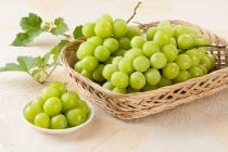 【うずら・岐阜・各務原発】＊日帰り昼食付き＊秋を満喫！ぶどうの波に溺れる！『圧巻のトリプルぶどう三昧』