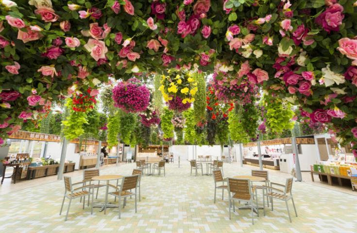 【早割30】[新宿発]春の恵み『いちご狩り』＆牡蠣や帆立等『海鮮浜焼き』食べ放題♪富士山を望む三島スカイウォークや沼津でお買い物＆食べ歩き等お楽しみの日帰りバスツアー！2