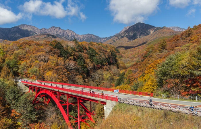 【横浜発】東沢大橋と美し森 八ヶ岳を望む「東沢大橋」と「美し森」紅葉散策 ～大人気の桔梗屋信玄餅詰め放題♪～1