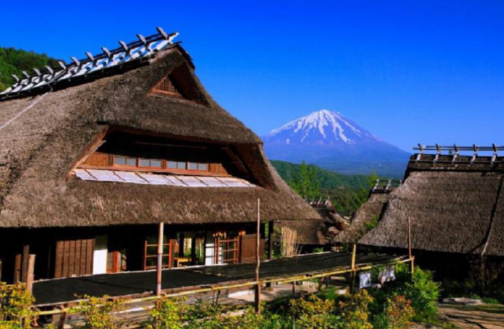 [品川/新宿LOVE発]新倉山浅間公園や大石公園などいろんな角度から富士山の感動の景色を望む！昼食は自由にお好きな場所で！富士山絶景撮影ポイント巡りの日帰りツアー！(英語ガイド付)2