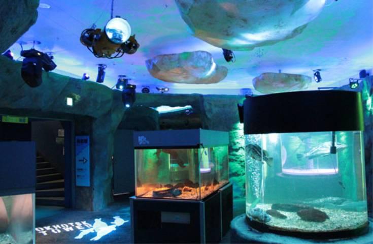 [札幌発]北海道の冬しか見られない大迫力の流氷体験！大自然のスケールの大きさを体感する新造船・流氷砕氷船『ガリンコ号III・IMERU』乗船日帰りバスツアー3